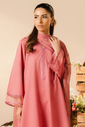 Petal Haze-